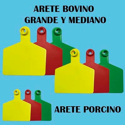 Arete Bovino Grande y Mediano