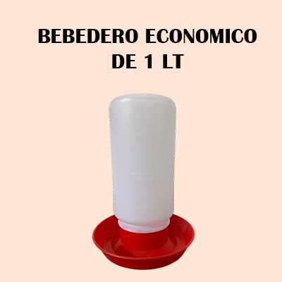 Bebedero Económico de 1 Lt
