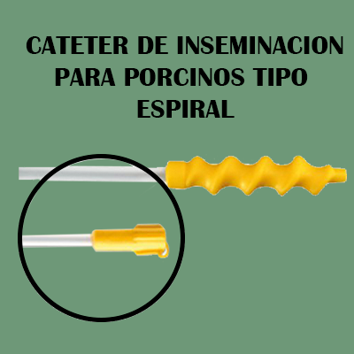Cateter Espiral Cateter de Inseminación Para Porcinos Tipo Espiralx 25 Und.