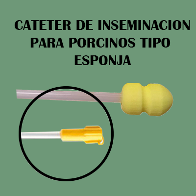 Cateter Esponja Cateter de Inseminación Para Porcinos Tipo Esponja x 25 Und.