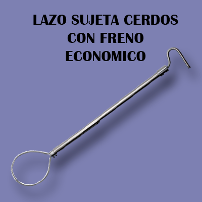 Lazo Sujeta Cerdos Económico
