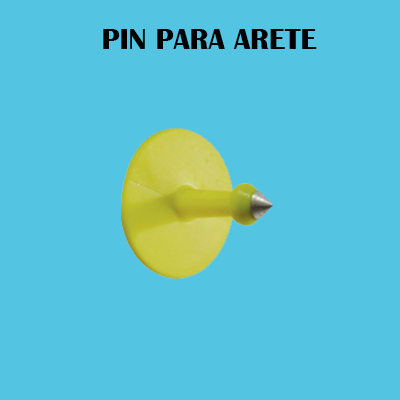 PIN ARETE