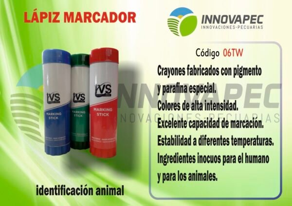 Lapiz Marcador en Rojo, Azul y Verde