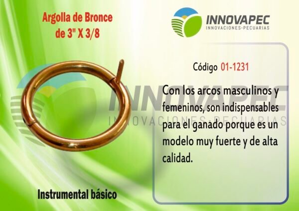 Argolla de Bronce 3"x 3/8